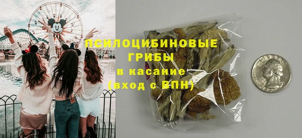 шишки Абдулино