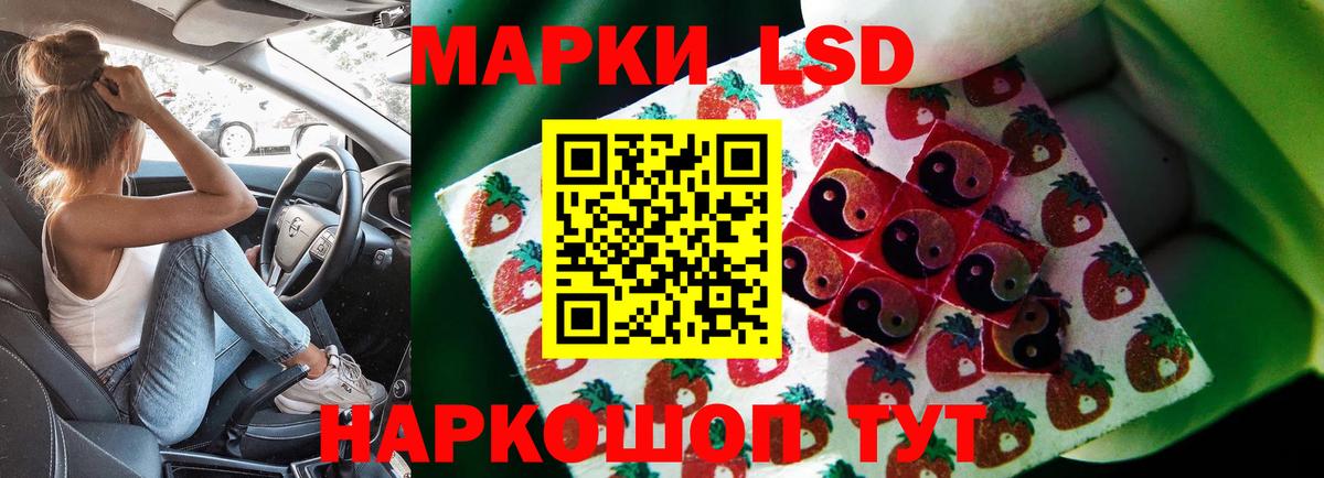 Лсд 25 экстази ecstasy  ОМГ ОМГ ТОР  Каменка  Вход с VPN  ЛСД экстази кислота 
