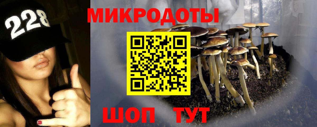 Псилоцибиновые грибы MAGIC MUSHROOMS  Вход с VPN  Каменка 